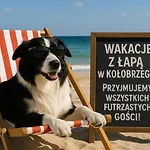 Apartmán 119 W Pieciogwiazdkowym Royal Tulip Plaza Tuz Tuz Dobruk Kolobřeh